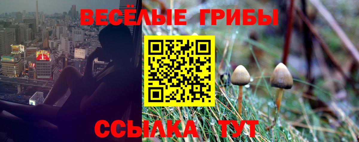 Галлюциногенные грибы мухоморы Мыски