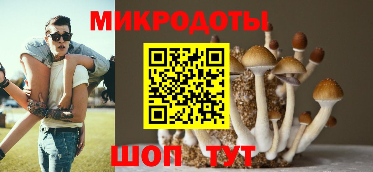 Мыски  дарнет шоп  Галлюциногенные грибы Psilocybine cubensis  Вход с VPN  Псилоцибиновые грибы Psilocybe 